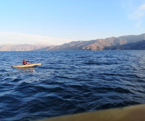 Ola Bednarek podczas przepłynięcia open water Kanału Catalina