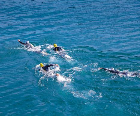 Zawodnicy open water i triathlonu w gdańsku podczas zawodów sailfish 