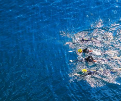 zawody dla dzieci podczas sailfish open water Gdańsk